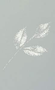 Kuretake Zig Wink of Stella Brush II, Glitter Clear, Shimmer and Sparkle color brush tip pen, for Card Making, Craft, Drawing, Made in Japan - Image 2